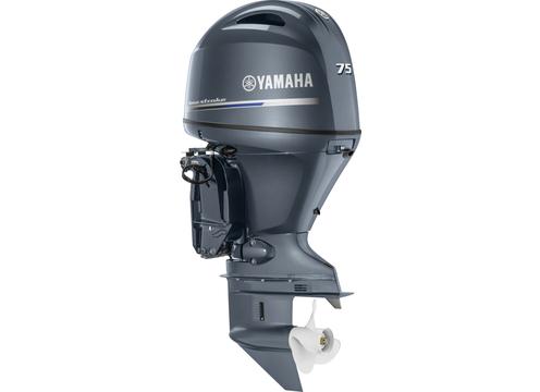 product image for Yamaha F75